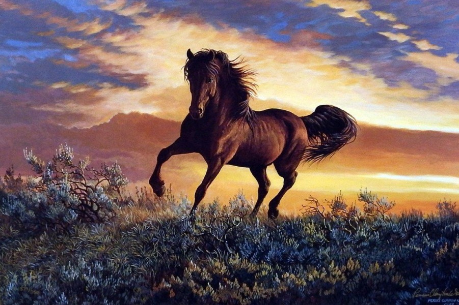 giải mã giấc mơ thấy ngựa